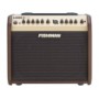 Fishman Loudbox Mini 60 watts with Digital Reverb and Chorus  a MP3 input and balanced XLR D.I. output